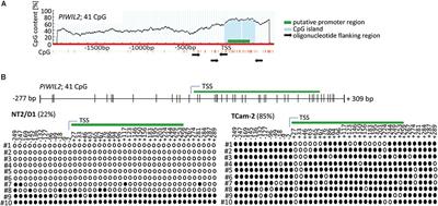 Differential Regulation of PIWI-LIKE 2 Expression in Primordial Germ Cell Tumor Cell Lines by Promoter Methylation